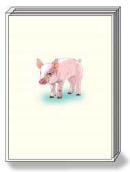 Pig Box Notes (1 box/pk)