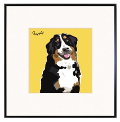 Framed Print: Bernese Mt. Dog