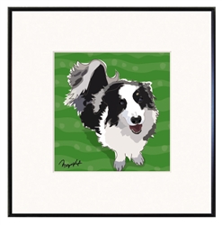 Framed Print: Border Collie