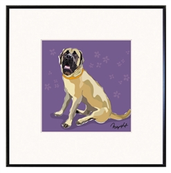 Framed Print: English Mastiff
