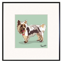 Framed Print: Silky Terrier