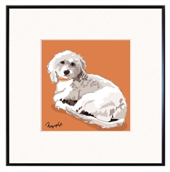 Framed Print: Teddy Bear Dog