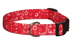 Extra Product Image