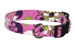 Extra Product Image