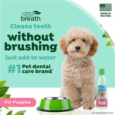 TropiClean Fresh Breath Dental Water Additive for Puppies, 16oz