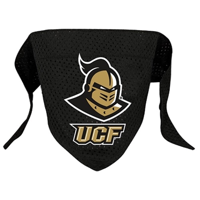 UCF Knights Dog Bandana