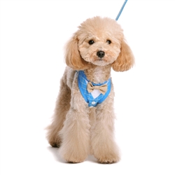 EasyGO Bowtie Blue