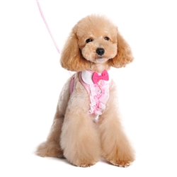 EasyGO Ruffle