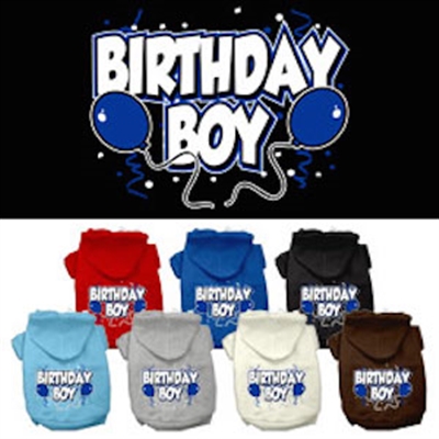 Birthday Boy Screen Print Pet Hoodies