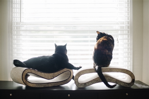 The Leeloo Cat Scratcher