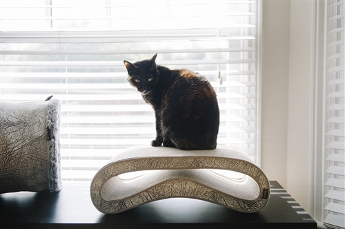 The Leeloo Cat Scratcher