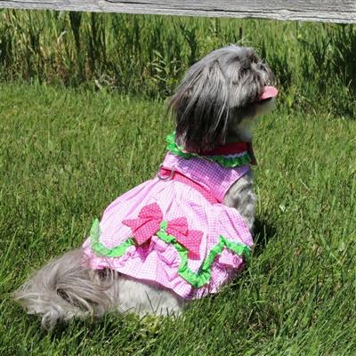 Watermelon Harness Dress