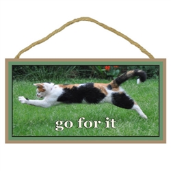 Go For It Wooden Sign 5" x 10"