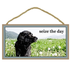 Seize the Day Wooden Sign 5" x 10"