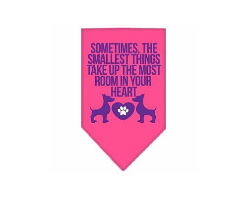 Smallest Things Screen Print Bandana