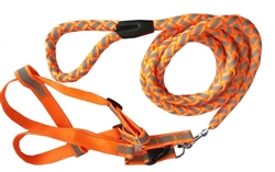 Orange Adjustable 2-In-1 Dog Leash And Harness