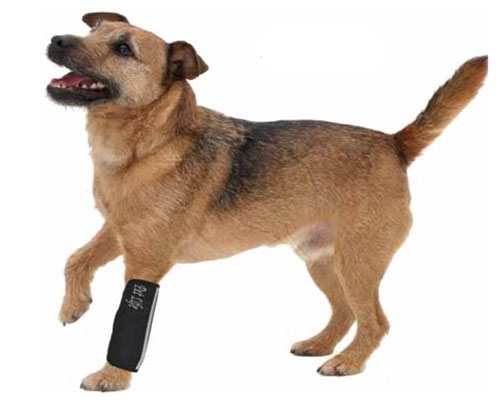 Pink Extreme-Neoprene Joint Protective Reflective Pet Sleeves