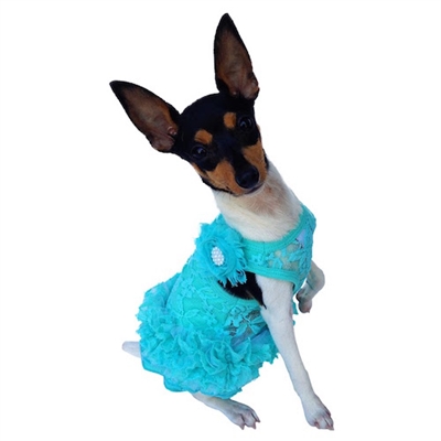 Seafoam Garden Party Tutu Dress