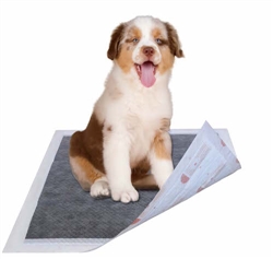 Charcoal Anti-Bacterial Scent Removing Diabetic Pet Pads