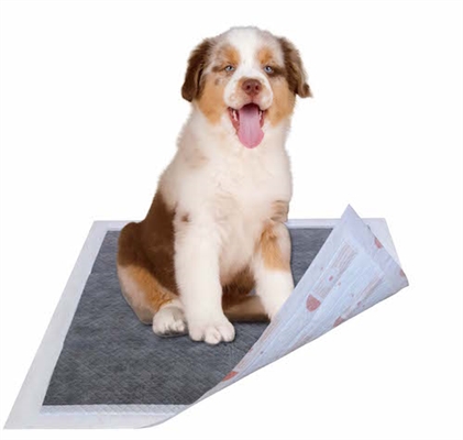 Charcoal Anti-Bacterial Scent Removing Diabetic Pet Pads