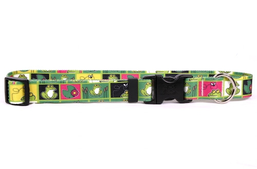Frogs Standard Collar