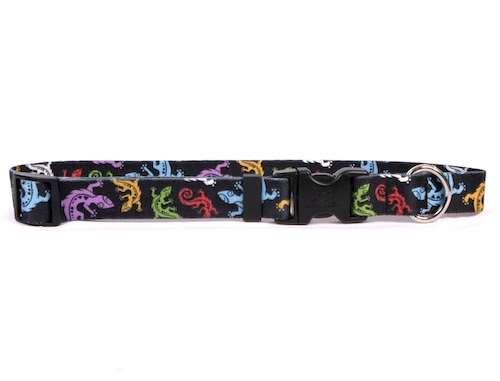 Geckos Black Standard Collar