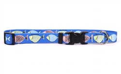 Go Fish Standard Collar