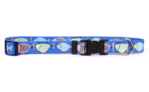 Go Fish Standard Collar