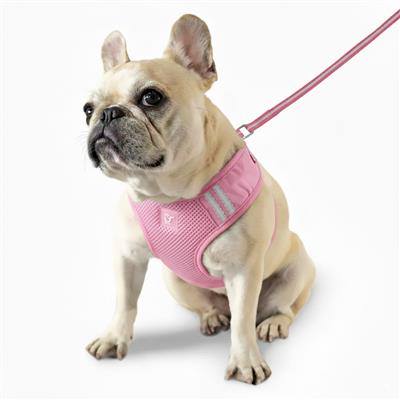 EasyGo Original Harness - Vibrant Colors
