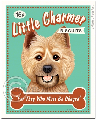 Little Charmer-(Cairn Terrier )