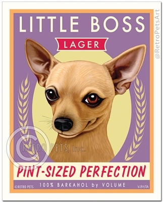 Little Boss-(Chihuahua )