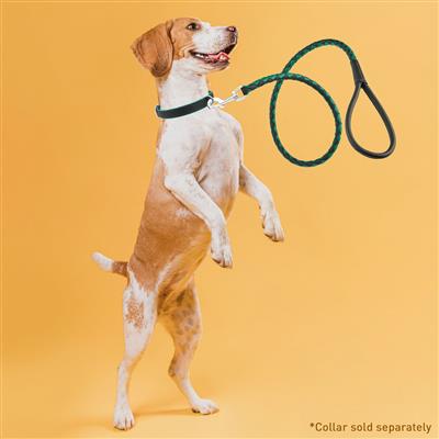Dogline Soft Leather Dual-Color Braided Round Lead