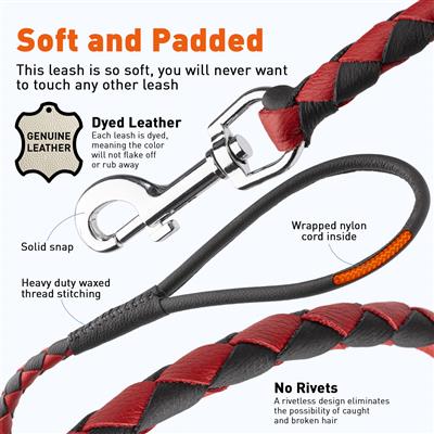 Dogline Soft Leather Dual-Color Braided Round Lead