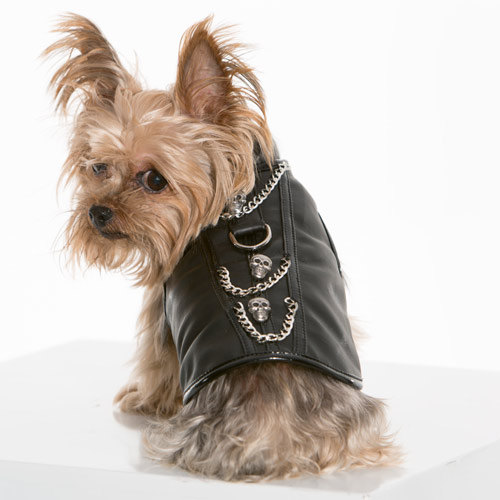 Easy Rider Vest Harness