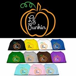 Lil Punkin Halloween Fall Screen Print Shirt