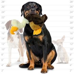 Extra Product Image