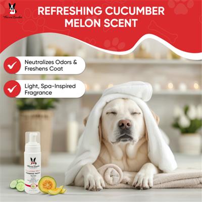 Cucumber Melon Foaming Facial by Warren London