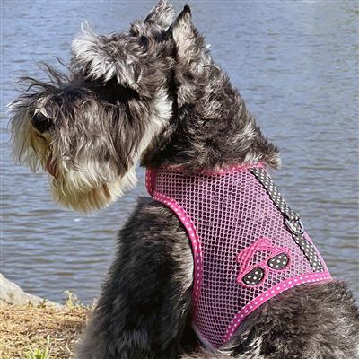Cool Mesh Dog Harness Under the Sea Collection - Sunglasses Pink and Black Polka Dot