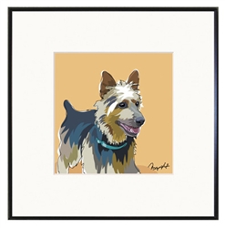 Framed Print: Australian Terrier Running