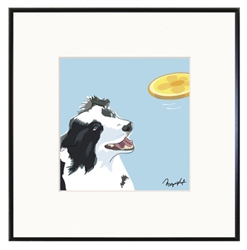 Framed Print: Border Collie - Frizby
