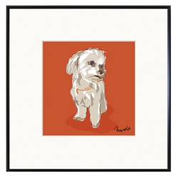 Framed Print: Maltese Sitting