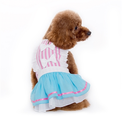 Little Alice Dress