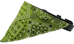 Extra Product Image