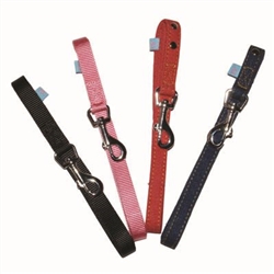 Active Dog Nylon Leash