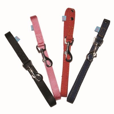 Active Dog Nylon Leash
