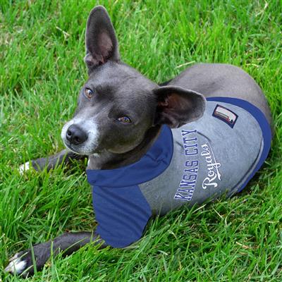 Kansas City Royals Hoody Dog Tee