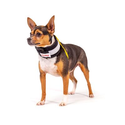 KVP BITENOT™ Cervical Collar