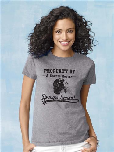 "Property Of" Springer Spaniel - 2-Pack of T-Shirts