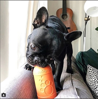 SodaPup Natural Rubber Beer Bottle Large Treat Dispenser  Slow Feeder Dog Chew Toy - Orange - Made in USA