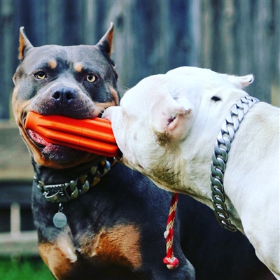 SodaPup - Natural Rubber Rocket Pop Dog Chew Toy - Made in USA - Tug and Fetch Rope Toy - Orange - Large